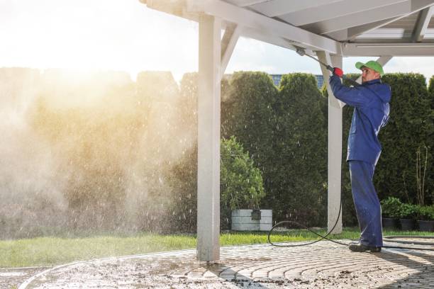 Best Pre-Holiday Cleaning  in Eustace, TX